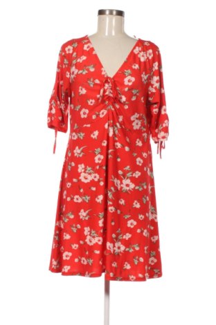 Kleid Qed London, Größe L, Farbe Mehrfarbig, Preis € 32,99