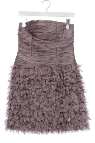 Kleid Runway, Größe XXS, Farbe Aschrosa, Preis 29,73 €