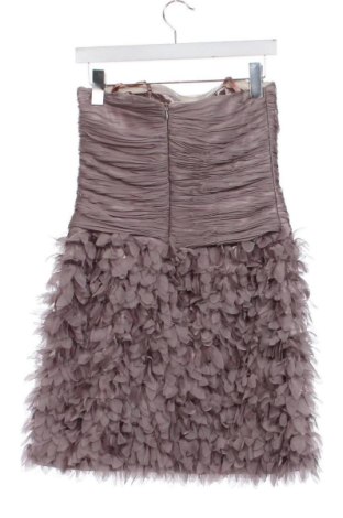 Kleid Runway, Größe XXS, Farbe Aschrosa, Preis 29,73 €