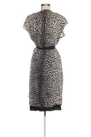 Sukienka Talbots, Rozmiar L, Kolor Kolorowy, Cena 107,17 zł