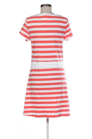 Kleid Up 2 Fashion, Größe L, Farbe Mehrfarbig, Preis € 20,00