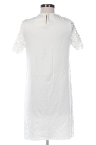 Kleid Zara, Größe M, Farbe Weiß, Preis 17,99 €
