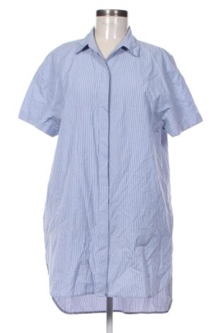 Φόρεμα Zara, Μέγεθος M, Χρώμα Πολύχρωμο, Τιμή 20,99 €