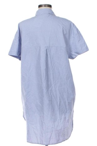 Φόρεμα Zara, Μέγεθος M, Χρώμα Πολύχρωμο, Τιμή 20,99 €