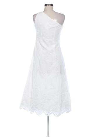 Kleid Zara, Größe M, Farbe Weiß, Preis 22,99 €