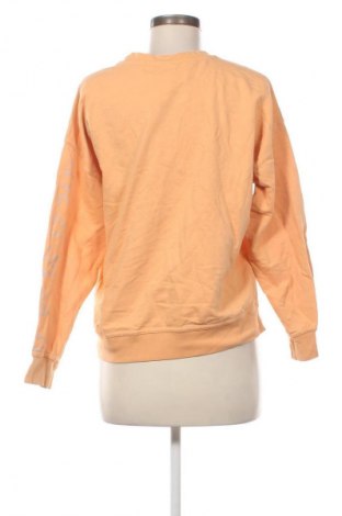 Dámská halenka Esmara, Velikost M, Barva Oranžová, Cena  59,00 Kč