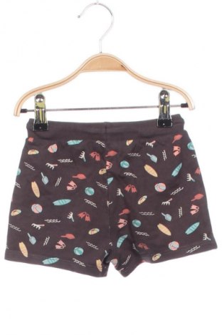 Детски къс панталон Unbranded, Размер 12-18m/ 80-86 см, Цвят Многоцветен, Цена 2,04 €