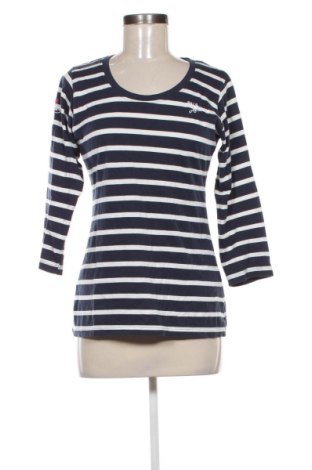 Damen Shirt 8848 Altitude, Größe M, Farbe Mehrfarbig, Preis 113,17 €