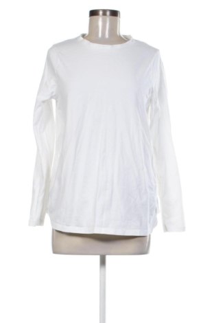 Damen Shirt ASOS, Größe L, Farbe Ecru, Preis € 8,00
