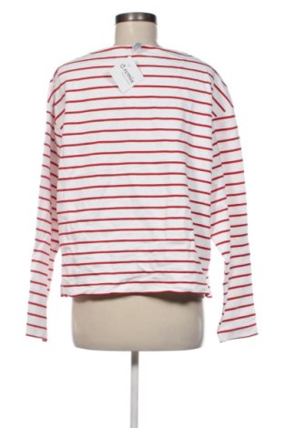 Дамска блуза Anko, Размер XL, Цвят Многоцветен, Цена 5,11 €