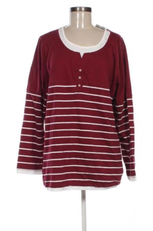 Damen Shirt Bpc Bonprix Collection, Größe XXL, Farbe Mehrfarbig, Preis € 8,99