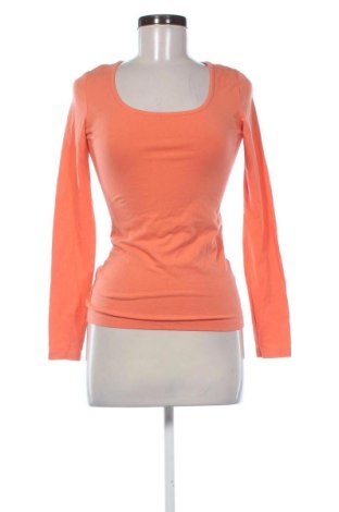 Damen Shirt Bpc Bonprix Collection, Größe S, Farbe Orange, Preis € 7,85