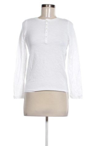 Damen Shirt Calliope, Größe S, Farbe Weiß, Preis € 5,99