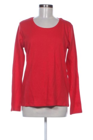Damen Shirt Cecil, Größe L, Farbe Rot, Preis € 22,99