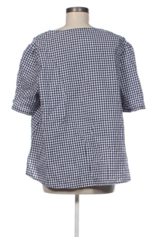 Damen Shirt Corte Dei Gonzaga, Größe XL, Farbe Mehrfarbig, Preis € 22,99