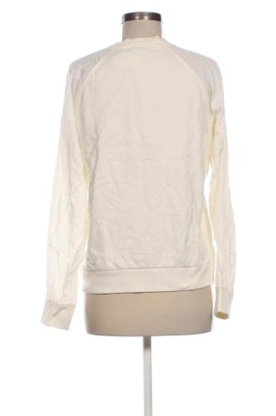 Damen Shirt Diesel, Größe M, Farbe Ecru, Preis € 89,99