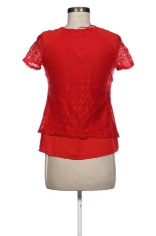Damen Shirt F&F, Größe XS, Farbe Rot, Preis 9,71 €