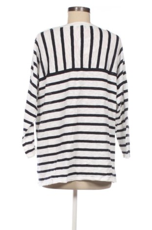 Damen Shirt Jump, Größe XXL, Farbe Mehrfarbig, Preis € 22,99