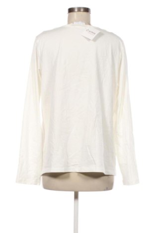 Damen Shirt Just White, Größe XL, Farbe Weiß, Preis € 22,99