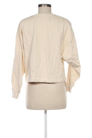 Damen Shirt Mango, Größe L, Farbe Ecru, Preis € 14,00