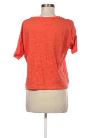 Дамска блуза Ottod'Ame, Размер XS, Цвят Многоцветен, Цена 18,91 €