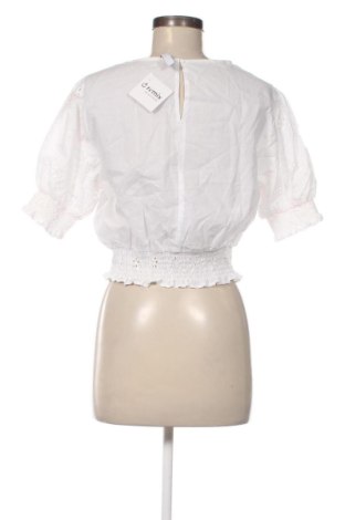 Damen Shirt Page One, Größe L, Farbe Mehrfarbig, Preis € 12,99