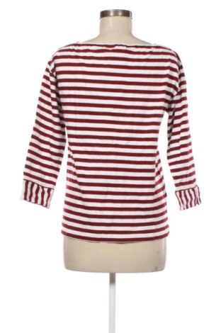 Bluză de femei Penny Black, Mărime L, Culoare Multicolor, Preț 259,99 Lei