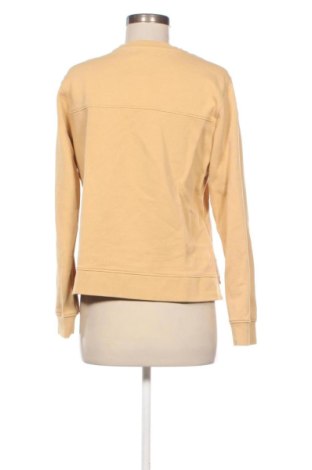 Дамска блуза Scalpers, Размер L, Цвят Жълт, Цена 15,45 €