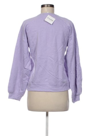 Damen Shirt Seed, Größe L, Farbe Lila, Preis € 7,99