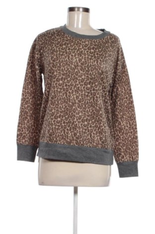 Damen Shirt Splendid, Größe S, Farbe Mehrfarbig, Preis € 4,99