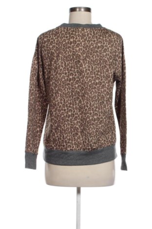 Damen Shirt Splendid, Größe S, Farbe Mehrfarbig, Preis € 4,99