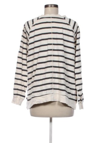 Dámska blúza Unbranded, Veľkosť L, Farba Viacfarebná, Cena  5,95 €