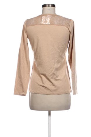 Γυναικεία μπλούζα Unbranded, Μέγεθος M, Χρώμα Καφέ, Τιμή 5,99 €