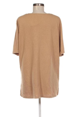 Damen Shirt Via Appia, Größe XXL, Farbe Braun, Preis € 18,99