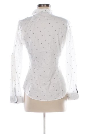 Dámská halenka Zara, Velikost L, Barva Vícebarevné, Cena  279,00 Kč