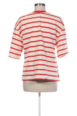 Damen Shirt Zara, Größe S, Farbe Mehrfarbig, Preis € 8,99