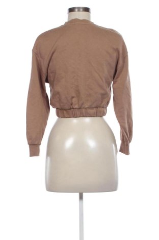 Damen Shirt Zara, Größe S, Farbe Beige, Preis € 13,81