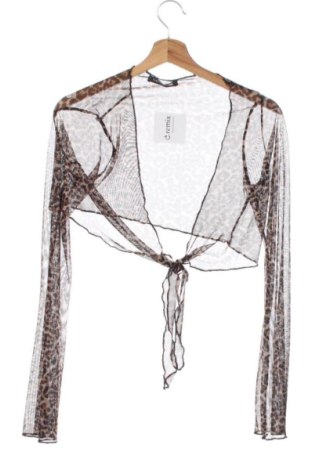 Damen Strickjacke Terranova, Größe S, Farbe Mehrfarbig, Preis € 9,99