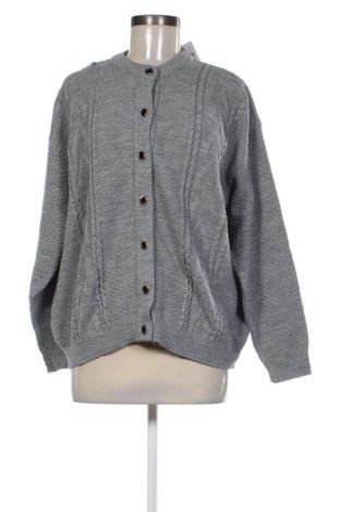 Damen Strickjacke Unbranded, Größe XXL, Farbe Grau, Preis 13,09 €