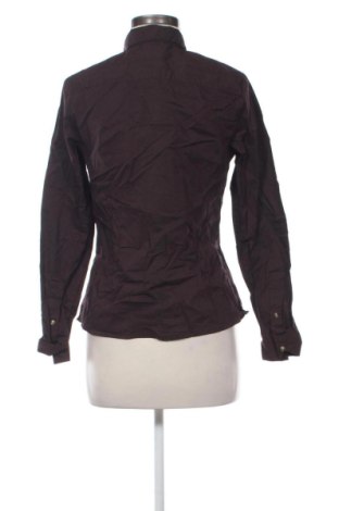 Damenbluse Anne Klein, Größe S, Farbe Braun, Preis € 22,99