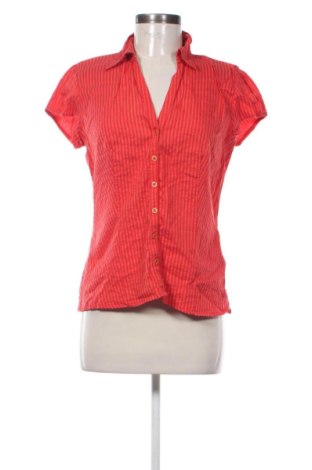 Dámska košeľa  Cache Cache, Veľkosť M, Farba Viacfarebná, Cena  9,95 €