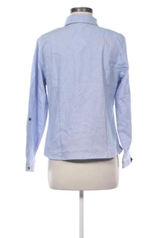 Γυναικείο πουκάμισο Elegance, Μέγεθος XL, Χρώμα Πολύχρωμο, Τιμή 33,99 €