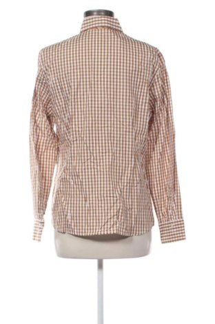 Dámska košeľa  Gloriette, Veľkosť XL, Farba Viacfarebná, Cena  24,95 €