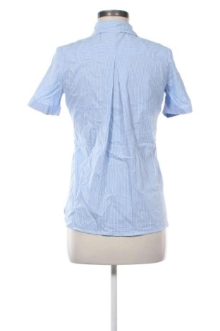 Damenbluse Motivi, Größe M, Farbe Mehrfarbig, Preis € 27,99