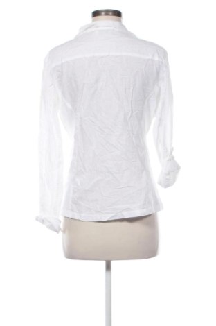 Damenbluse Paraphrase, Größe XL, Farbe Weiß, Preis € 10,99