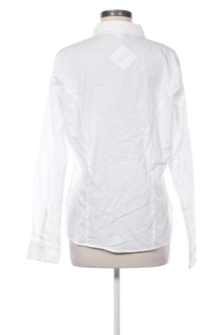 Γυναικείο πουκάμισο Piazza Italia, Μέγεθος XL, Χρώμα Λευκό, Τιμή 7,99 €