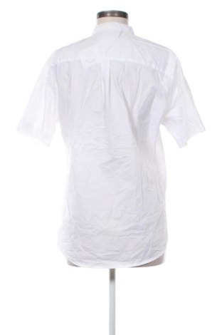 Damenbluse Piazza Italia, Größe L, Farbe Weiß, Preis € 10,99