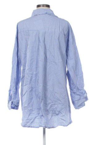 Damenbluse Pittarello, Größe L, Farbe Mehrfarbig, Preis € 7,99