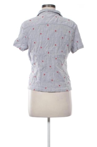 Damska koszula Sag Harbor, Rozmiar L, Kolor Kolorowy, Cena 48,99 zł