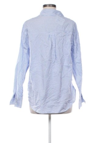 Damenbluse Terranova, Größe L, Farbe Mehrfarbig, Preis € 5,99